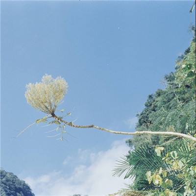 365游戏娱乐截图