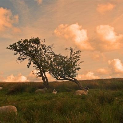 ag真人平台官方app下载