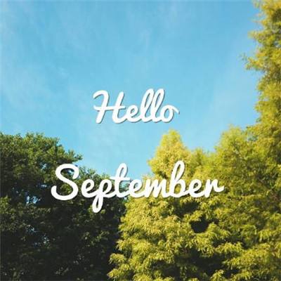 快三彩票app平台官方下载